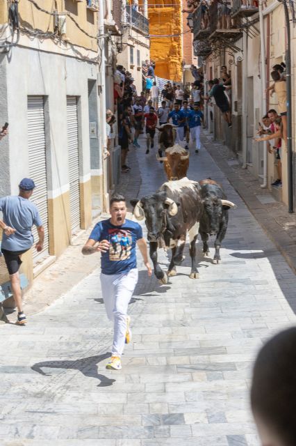 La primera cita taurina de las Fiestas Patronales de Blanca 2026 deja un primer encierro rápido y con emocionantes carreras