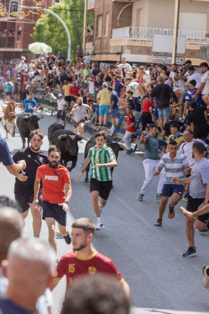 El cuarto encierro de las Fiestas Patronales de Blanca en honor a San Roque deja vistosas carreras por Gran Vía