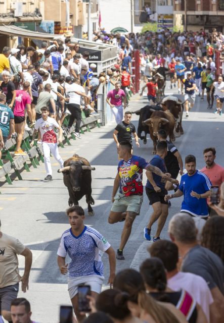 Un último encierro con los astados de Chamaco rápido y limpio en las Fiestas Patronales de Blanca 2025