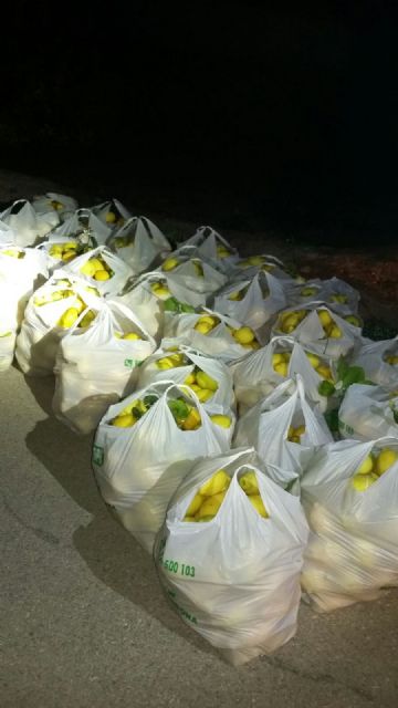 La Policía Local de Blanca evita el robo de unos 1000 kilos de limones